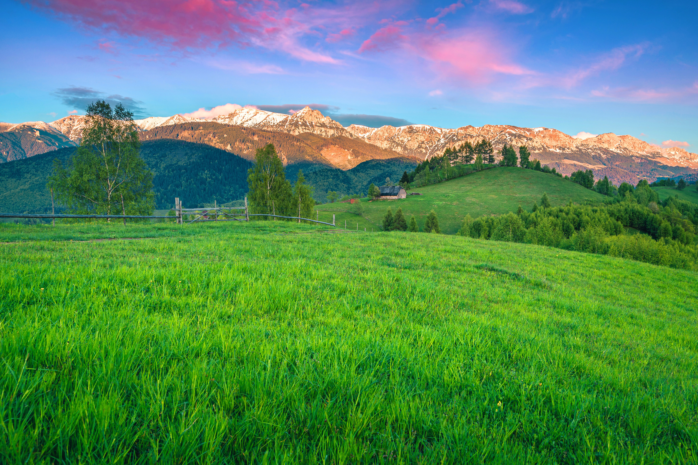 07_Moieciu[1].webp